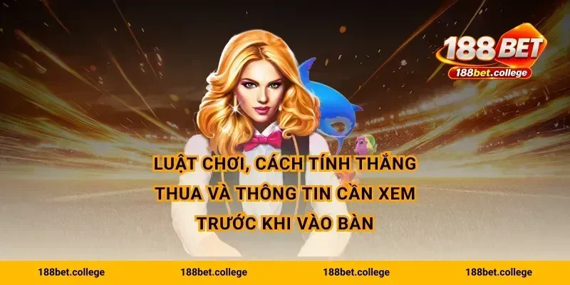 Luật chơi, cách tính thắng thua và thông tin cần xem trước khi vào bàn