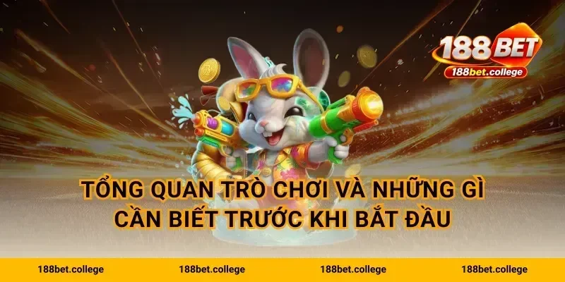 Tổng quan trò chơi và những gì cần biết trước khi bắt đầu