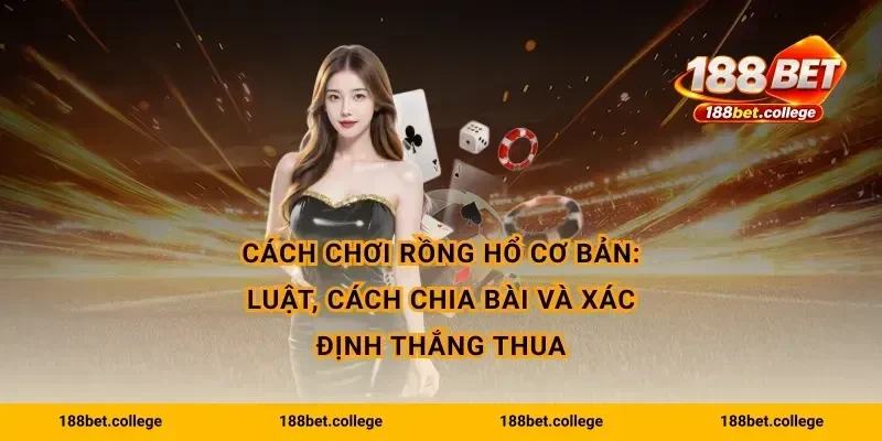 Cách chơi rồng hổ cơ bản: luật, cách chia bài và xác định thắng thua