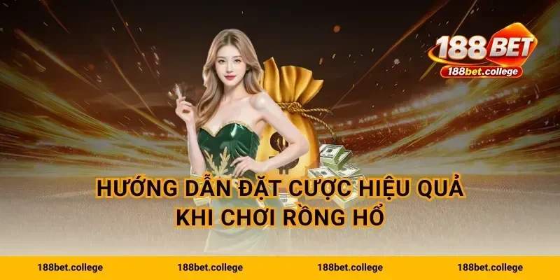 Hướng dẫn đặt cược hiệu quả khi chơi Rồng Hổ