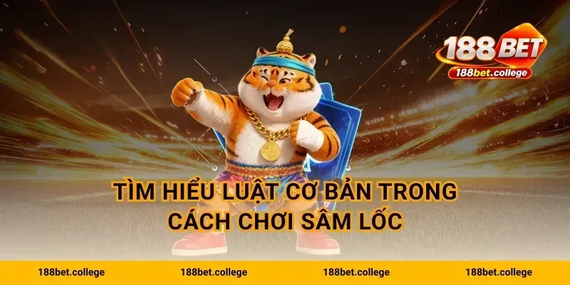 Tìm hiểu luật cơ bản trong cách chơi sâm lốc