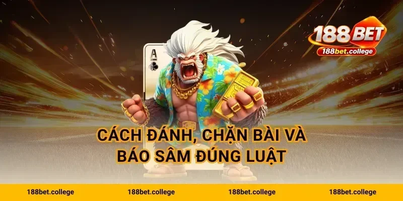 Cách đánh, chặn bài và báo sâm đúng luật