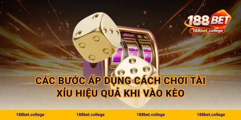 Các bước áp dụng cách chơi tài xỉu hiệu quả khi vào kèo