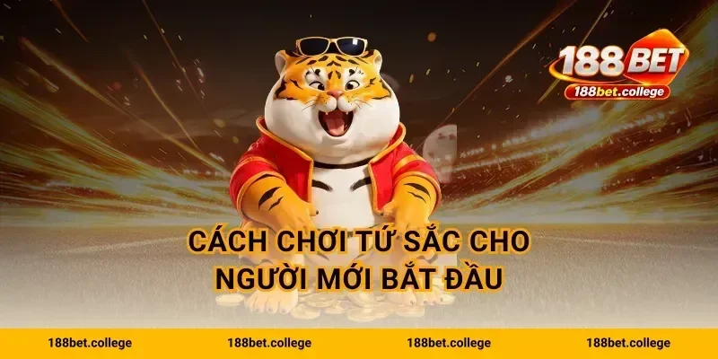 Cách chơi tứ sắc cho người mới bắt đầu