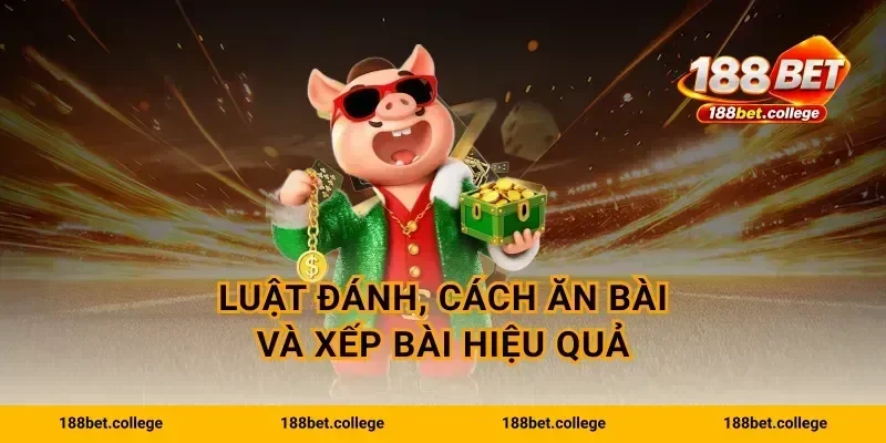 Luật đánh, cách ăn bài và xếp bài hiệu quả