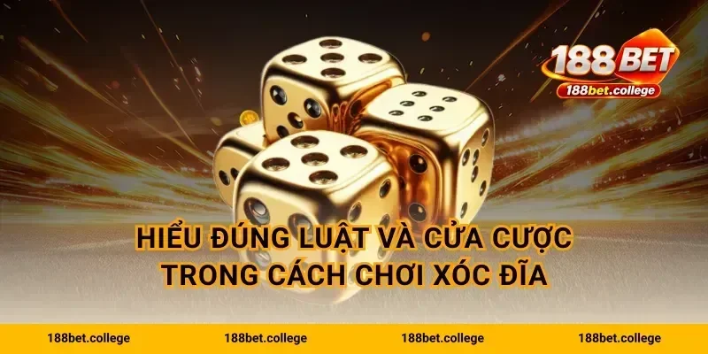 Hiểu đúng luật và cửa cược trong Cách chơi xóc đĩa