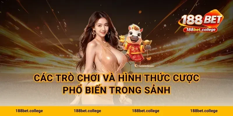 Các trò chơi và hình thức cược phổ biến trong sảnh
