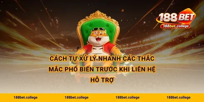 Cách tự xử lý nhanh các thắc mắc phổ biến trước khi liên hệ hỗ trợ