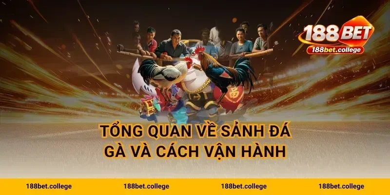 Tổng quan về sảnh đá gà và cách vận hành