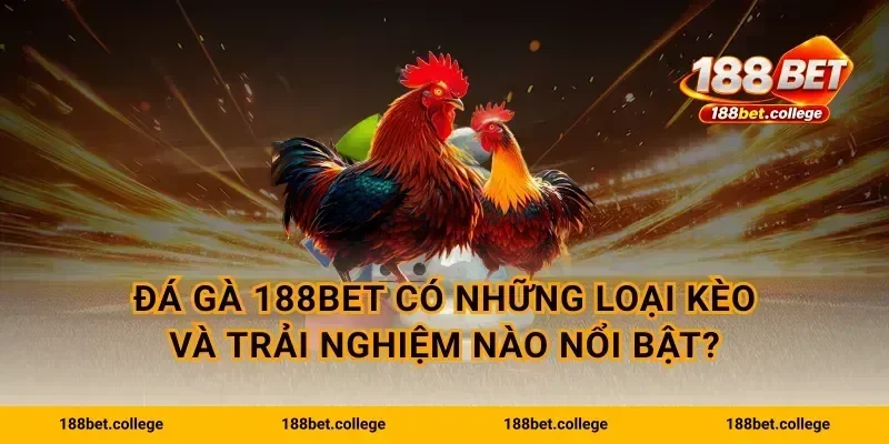 Đá Gà 188bet có những loại kèo và trải nghiệm nào nổi bật?