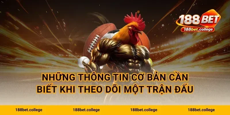 Những thông tin cơ bản cần biết khi theo dõi một trận đấu