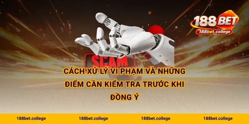 Cách xử lý vi phạm và những điểm cần kiểm tra trước khi đồng ý