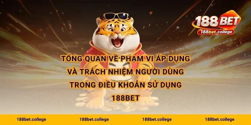 Tổng quan về phạm vi áp dụng và trách nhiệm người dùng trong điều khoản sử dụng 188bet