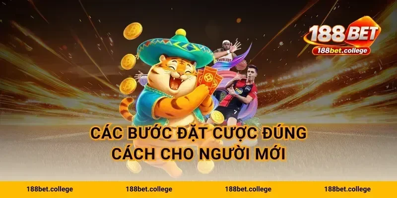 Các bước đặt cược đúng cách cho người mới