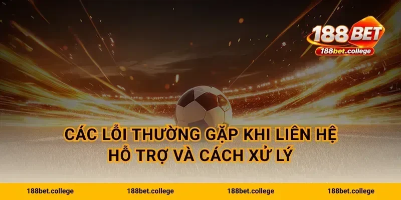 Các lỗi thường gặp khi liên hệ hỗ trợ và cách xử lý