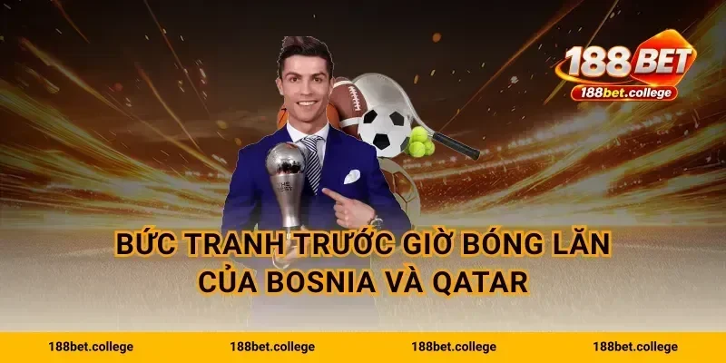 Bức tranh trước giờ bóng lăn của Bosnia và Qatar