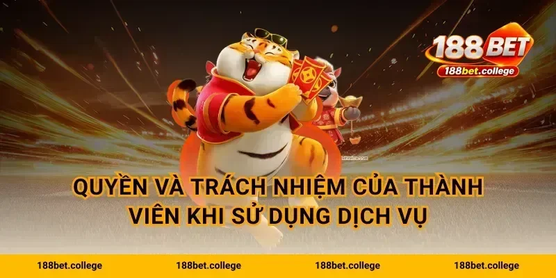 Quyền và trách nhiệm của thành viên khi sử dụng dịch vụ