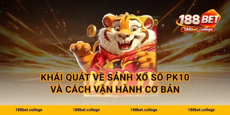 Khái quát về sảnh xổ số PK10 và cách vận hành cơ bản