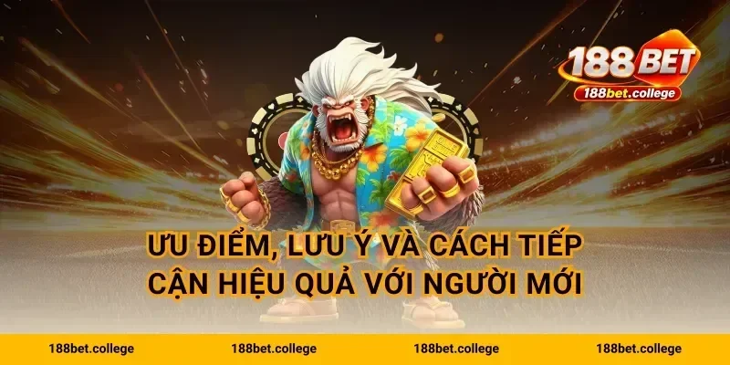 Ưu điểm, lưu ý và cách tiếp cận hiệu quả với người mới