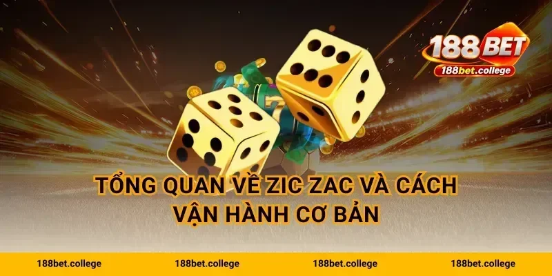Tổng quan về Zic Zac và cách vận hành cơ bản